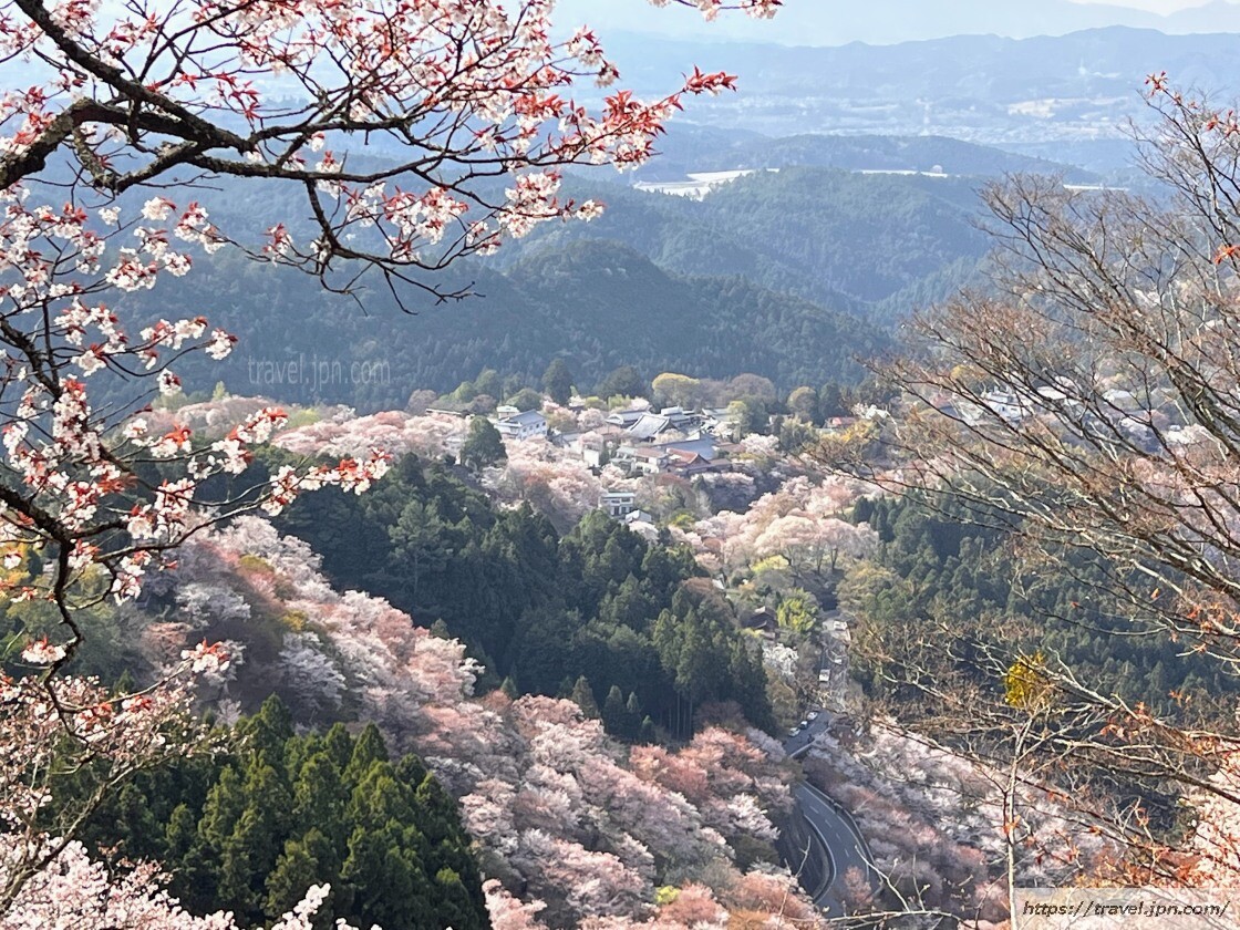 NaraYoshinoDu lịch Nhật Bản DU LỊCH NHẬT BẢN